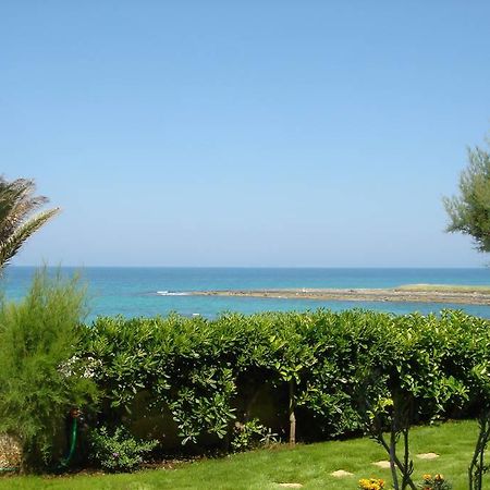 Loft Giulia Apartment Torre Santa Sabina Exterior photo